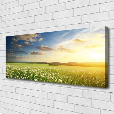 Photo sur toile Fleurs prairie paysage vert blanc