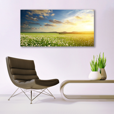 Photo sur toile Fleurs prairie paysage vert blanc