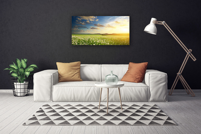 Photo sur toile Fleurs prairie paysage vert blanc