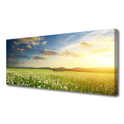 Photo sur toile Fleurs prairie paysage vert blanc