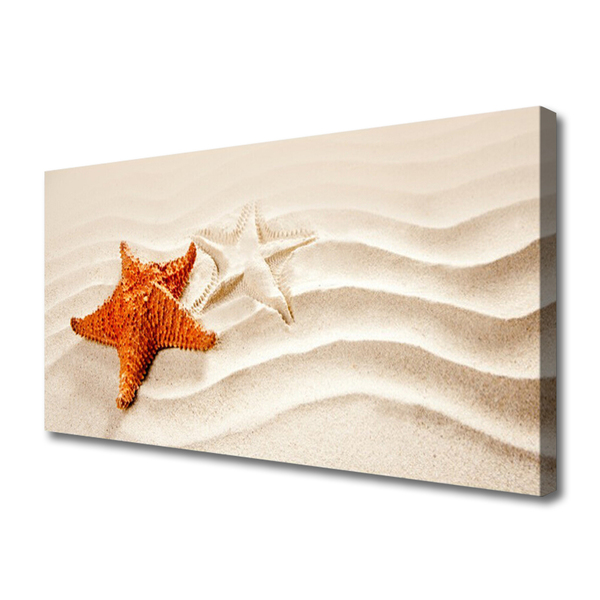 Photo sur toile Sable étoile de mer art orange blanc brun
