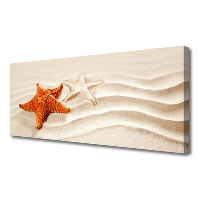 Photo sur toile Sable étoile de mer art orange blanc brun