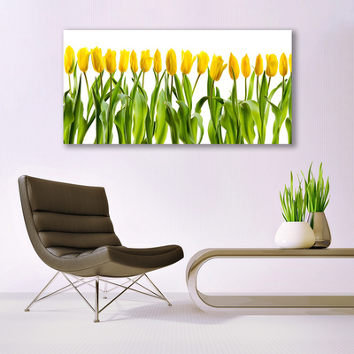 Photo sur toile Tulipes floral vert jaune