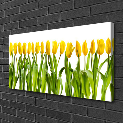 Photo sur toile Tulipes floral vert jaune
