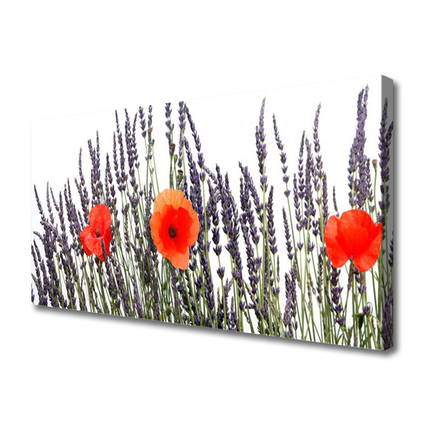 Photo sur toile Fleurs floral violet rouge vert