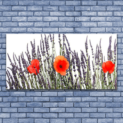 Photo sur toile Fleurs floral violet rouge vert