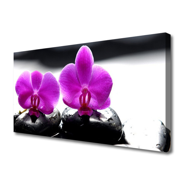 Photo sur toile Pierres fleurs floral rose noir