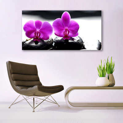 Photo sur toile Pierres fleurs floral rose noir