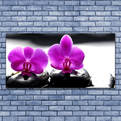 Photo sur toile Pierres fleurs floral rose noir