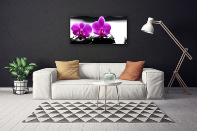 Photo sur toile Pierres fleurs floral rose noir