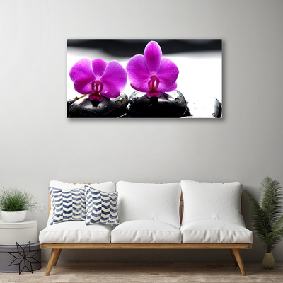 Photo sur toile Pierres fleurs floral rose noir