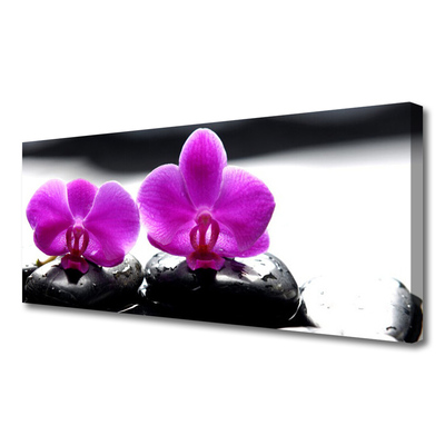 Photo sur toile Pierres fleurs floral rose noir