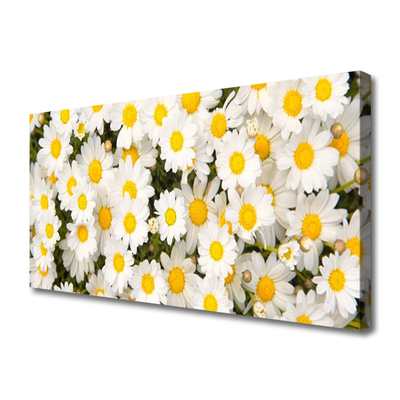 Photo sur toile Marguerite floral jaune blanc