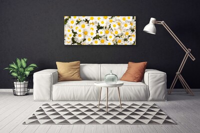 Photo sur toile Marguerite floral jaune blanc