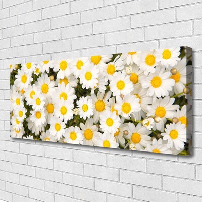 Photo sur toile Marguerite floral jaune blanc