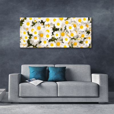 Photo sur toile Marguerite floral jaune blanc