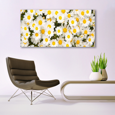 Photo sur toile Marguerite floral jaune blanc