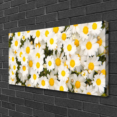 Photo sur toile Marguerite floral jaune blanc