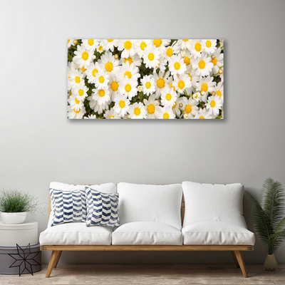 Photo sur toile Marguerite floral jaune blanc