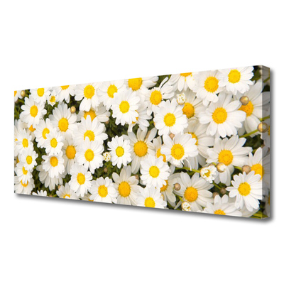 Photo sur toile Marguerite floral jaune blanc