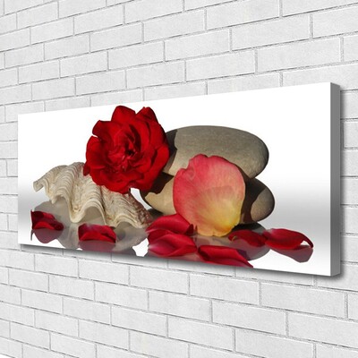 Photo sur toile Rose coquille art rouge blanc gris