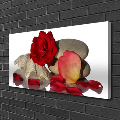 Photo sur toile Rose coquille art rouge blanc gris