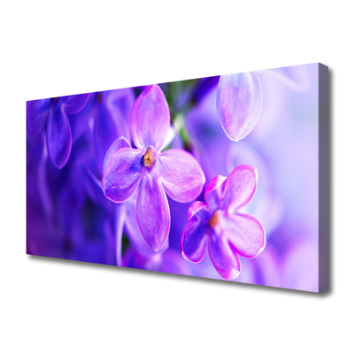 Photo sur toile Fleurs floral rose