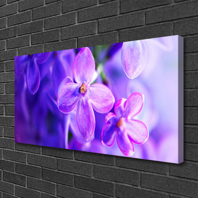 Photo sur toile Fleurs floral rose