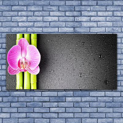 Photo sur toile Fleur bambou floral vert rose