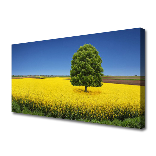 Photo sur toile Arbre prairie nature jaune brun vert