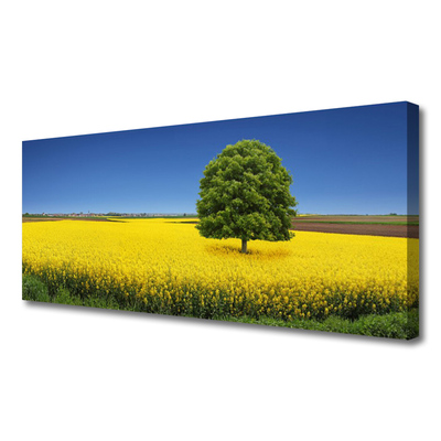 Photo sur toile Arbre prairie nature jaune brun vert