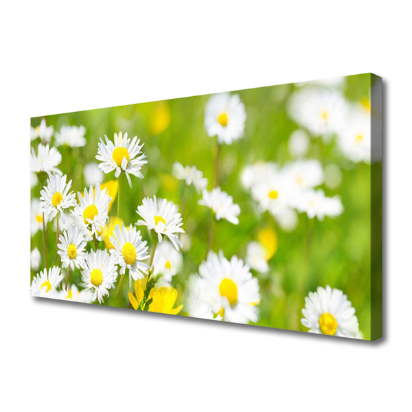 Photo sur toile Marguerite floral jaune blanc