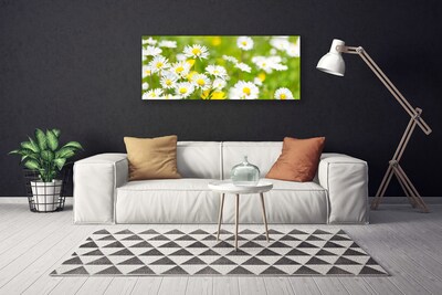 Photo sur toile Marguerite floral jaune blanc