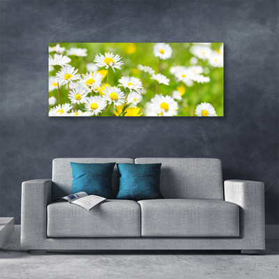 Photo sur toile Marguerite floral jaune blanc