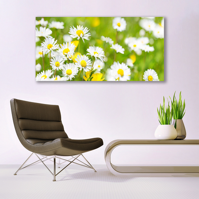 Photo sur toile Marguerite floral jaune blanc