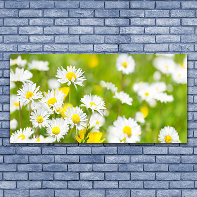 Photo sur toile Marguerite floral jaune blanc