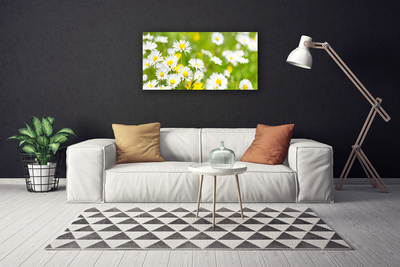 Photo sur toile Marguerite floral jaune blanc