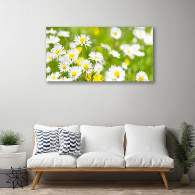 Photo sur toile Marguerite floral jaune blanc