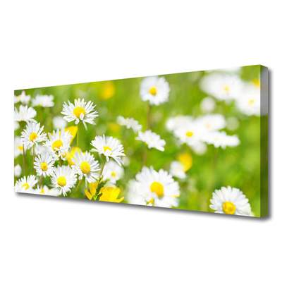 Photo sur toile Marguerite floral jaune blanc