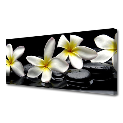 Photo sur toile Pierres fleurs floral vert blanc noir