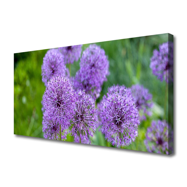 Photo sur toile Fleurs floral rose