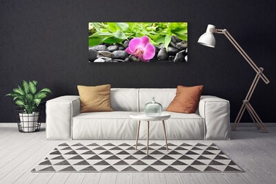 Photo sur toile Feuilles fleur pierres art rose vert noir