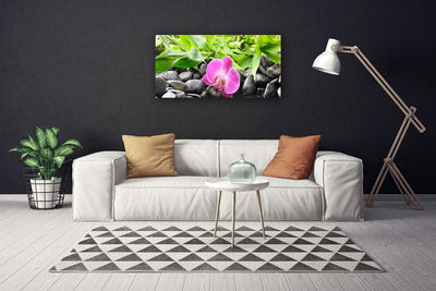 Photo sur toile Feuilles fleur pierres art rose vert noir