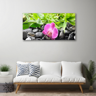 Photo sur toile Feuilles fleur pierres art rose vert noir