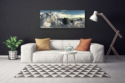 Photo sur toile Montagnes paysage gris blanc