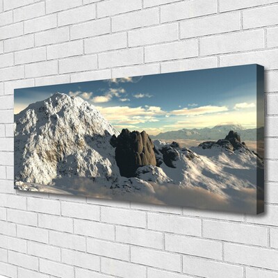 Photo sur toile Montagnes paysage gris blanc