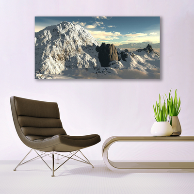 Photo sur toile Montagnes paysage gris blanc