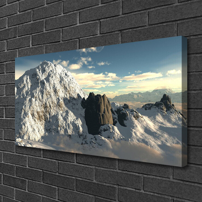 Photo sur toile Montagnes paysage gris blanc