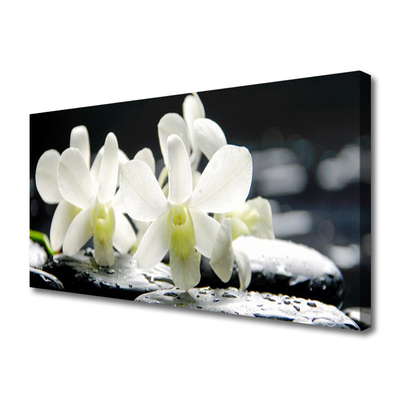 Photo sur toile Pierres fleurs floral blanc noir