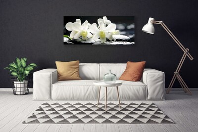 Photo sur toile Pierres fleurs floral blanc noir